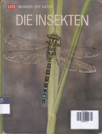 Die Insekten