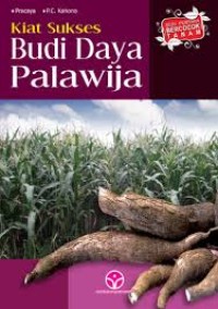 Budi Daya Palawija